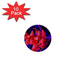 Red And Blue Sideways Sumac 1  Mini Buttons (10 Pack)  by okhismakingart