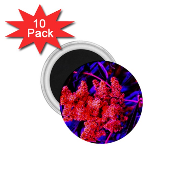 Red and Blue Sideways Sumac 1.75  Magnets (10 pack) 