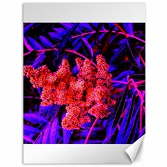 Red And Blue Sideways Sumac Canvas 36  X 48  by okhismakingart