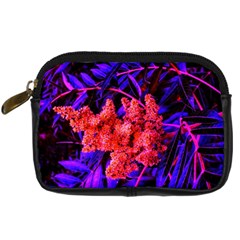 Red And Blue Sideways Sumac Digital Camera Leather Case by okhismakingart