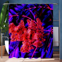 Red And Blue Sideways Sumac Shower Curtain 60  X 72  (medium)  by okhismakingart