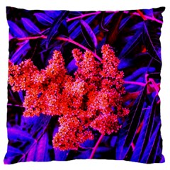 Red And Blue Sideways Sumac Large Cushion Case (one Side) by okhismakingart