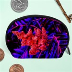 Red and Blue Sideways Sumac Accessory Pouch (Large) Front