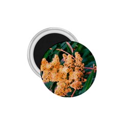 Green And Gold Sideways Sumac 1 75  Magnets by okhismakingart