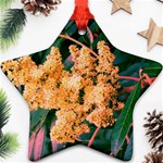 Green and Gold Sideways Sumac Star Ornament (Two Sides) Back