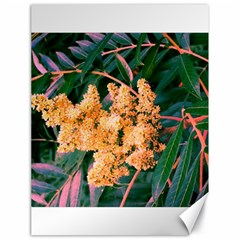 Green And Gold Sideways Sumac Canvas 18  X 24  by okhismakingart