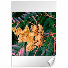 Green And Gold Sideways Sumac Canvas 20  X 30  by okhismakingart