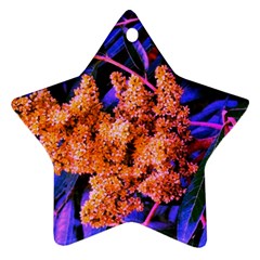 Blue and Gold Sideways Sumac Ornament (Star)