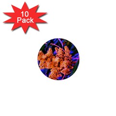 Blue and Gold Sideways Sumac 1  Mini Magnet (10 pack) 