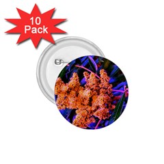 Blue and Gold Sideways Sumac 1.75  Buttons (10 pack)