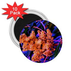 Blue and Gold Sideways Sumac 2.25  Magnets (10 pack) 