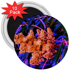 Blue and Gold Sideways Sumac 3  Magnets (10 pack) 