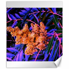 Blue and Gold Sideways Sumac Canvas 8  x 10 