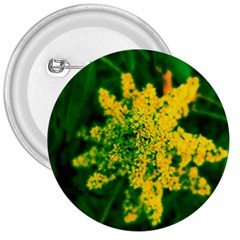 Yellow Sumac Bloom 3  Buttons by okhismakingart