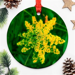 Yellow Sumac Bloom Ornament (round) by okhismakingart