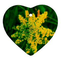 Yellow Sumac Bloom Ornament (heart) by okhismakingart