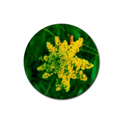 Yellow Sumac Bloom Rubber Coaster (round)  by okhismakingart