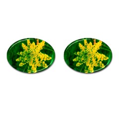 Yellow Sumac Bloom Cufflinks (oval) by okhismakingart