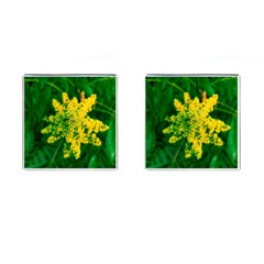 Yellow Sumac Bloom Cufflinks (square) by okhismakingart