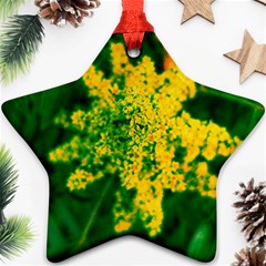 Yellow Sumac Bloom Star Ornament (two Sides) by okhismakingart