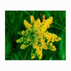 Yellow Sumac Bloom Small Glasses Cloth (2-side) by okhismakingart