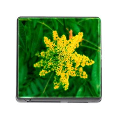 Yellow Sumac Bloom Memory Card Reader (square 5 Slot) by okhismakingart