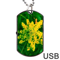 Yellow Sumac Bloom Dog Tag Usb Flash (two Sides) by okhismakingart