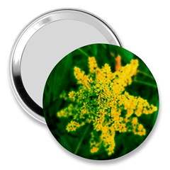 Yellow Sumac Bloom 3  Handbag Mirrors by okhismakingart