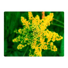 Yellow Sumac Bloom Double Sided Flano Blanket (mini)  by okhismakingart