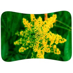 Yellow Sumac Bloom Velour Seat Head Rest Cushion by okhismakingart