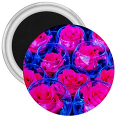 Rose Bowls 3  Magnets by okhismakingart