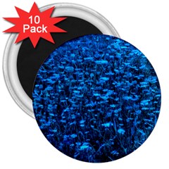 Blue Queen Anne s Lace Hillside 3  Magnets (10 Pack) 