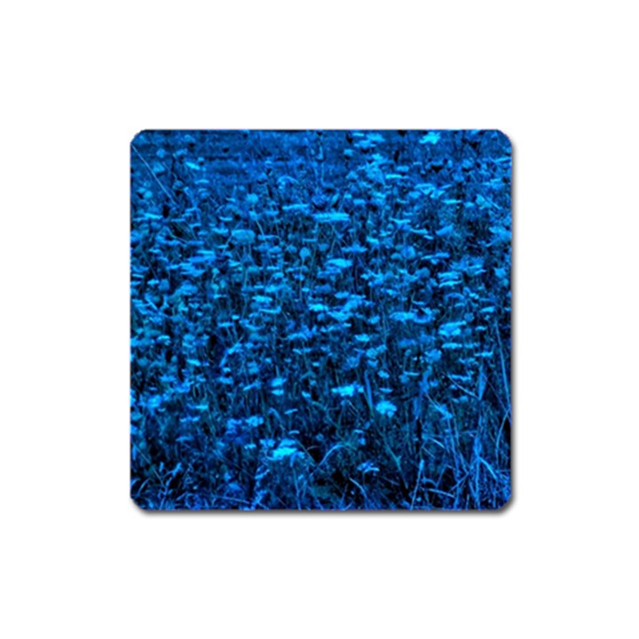 Blue Queen Anne s Lace Hillside Square Magnet