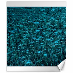 Blue-green Queen Annes Lace Hillside Canvas 8  X 10  by okhismakingart