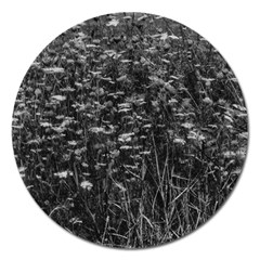 Black And White Queen Anne s Lace Hillside Magnet 5  (round) by okhismakingart