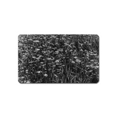 Black And White Queen Anne s Lace Hillside Magnet (name Card) by okhismakingart