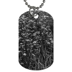 Black And White Queen Anne s Lace Hillside Dog Tag (one Side) by okhismakingart