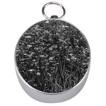 Black and White Queen Anne s Lace Hillside Silver Compasses Front