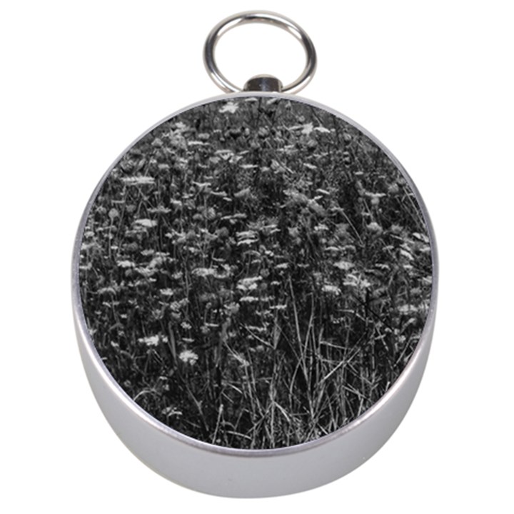 Black and White Queen Anne s Lace Hillside Silver Compasses