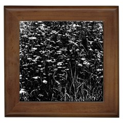 High Contrast Black And White Queen Anne s Lace Hillside Framed Tiles by okhismakingart