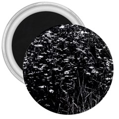 High Contrast Black And White Queen Anne s Lace Hillside 3  Magnets by okhismakingart