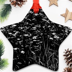 High Contrast Black And White Queen Anne s Lace Hillside Ornament (star) by okhismakingart