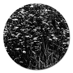 High Contrast Black And White Queen Anne s Lace Hillside Magnet 5  (round) by okhismakingart