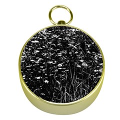 High Contrast Black And White Queen Anne s Lace Hillside Gold Compasses by okhismakingart