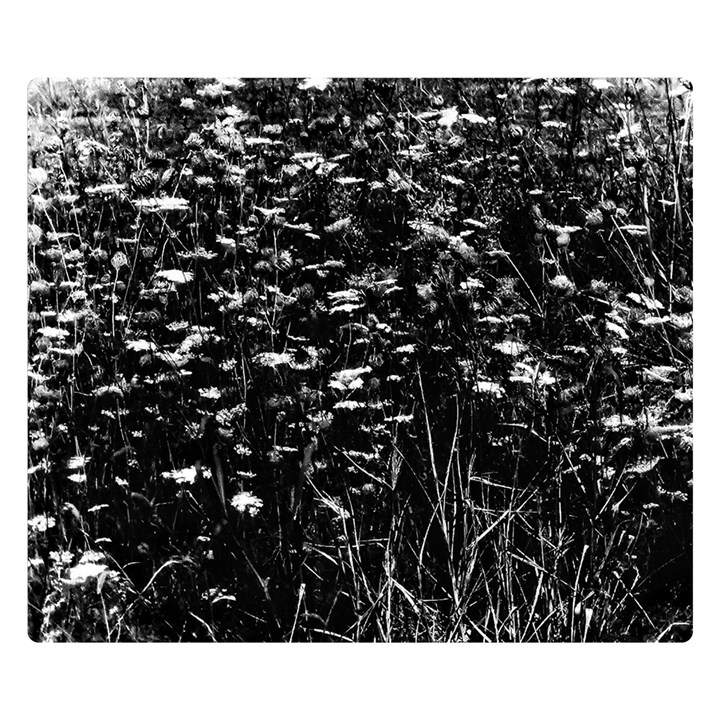 High Contrast Black and White Queen Anne s Lace Hillside Double Sided Flano Blanket (Small) 