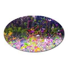 Magic Butterfly Oval Magnet by okhismakingart