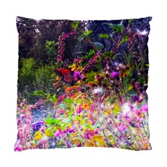 Magic Butterfly Standard Cushion Case (one Side) by okhismakingart