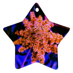 Yellow, Pink, And Blue Sumac Bloom Ornament (star) by okhismakingart