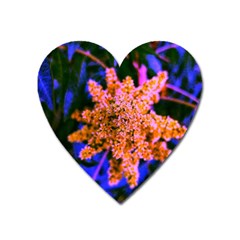 Yellow, Pink, And Blue Sumac Bloom Heart Magnet by okhismakingart