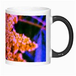 Yellow, Pink, and Blue Sumac Bloom Morph Mugs Right